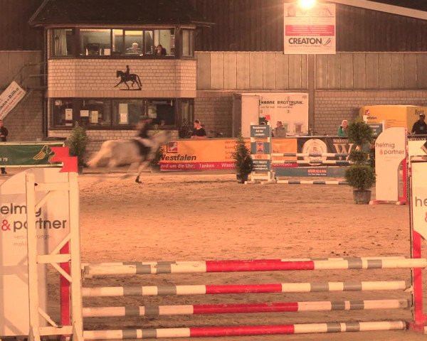 Reitturnier Olfen-Vinnum 2016