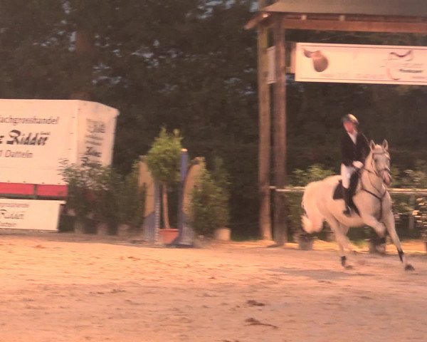 Reitturnier Olfen-Vinnum 2016