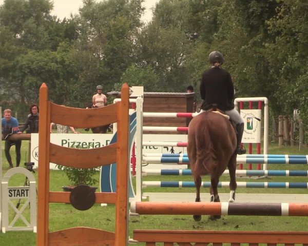 Reitturnier Petershagen-Eldagsen 2016