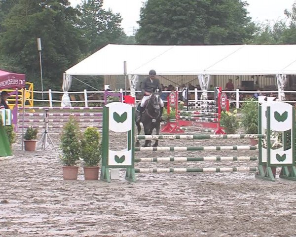 Reitturnier Tangstedt/Pinneberg 2016