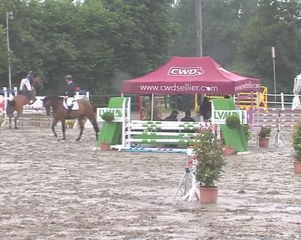 Reitturnier Tangstedt/Pinneberg 2016