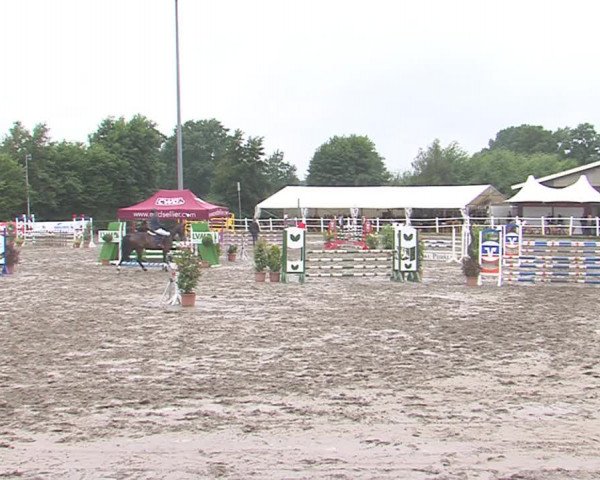 Reitturnier Tangstedt/Pinneberg 2016