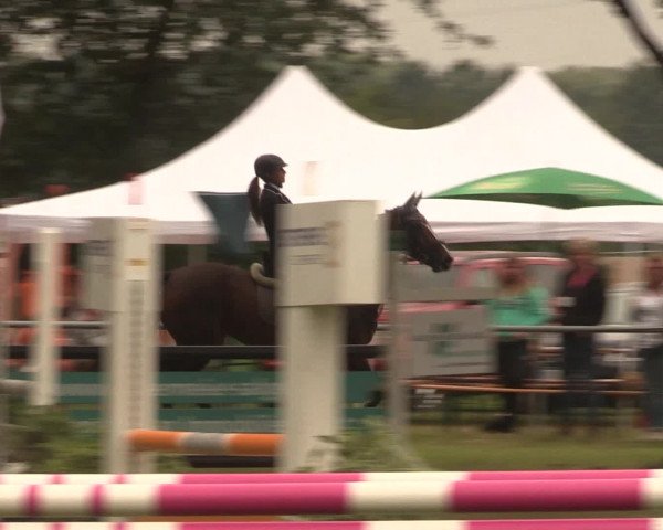 Reitturnier Petershagen-Eldagsen 2016