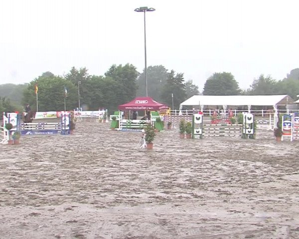 Reitturnier Tangstedt/Pinneberg 2016