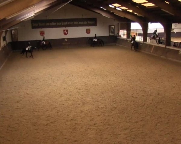 Reitturnier Olfen-Vinnum 2016