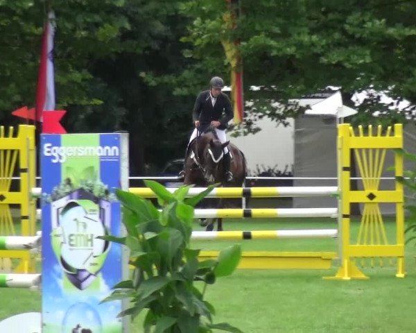Reitturnier Zobbenitz 2016