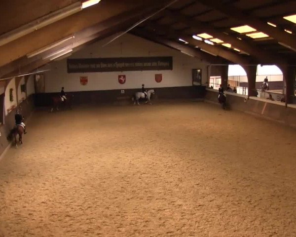Reitturnier Olfen-Vinnum 2016
