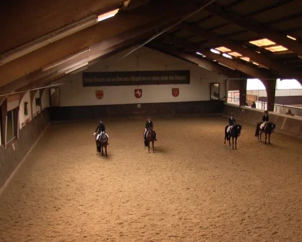 Reitturnier Olfen-Vinnum 2016