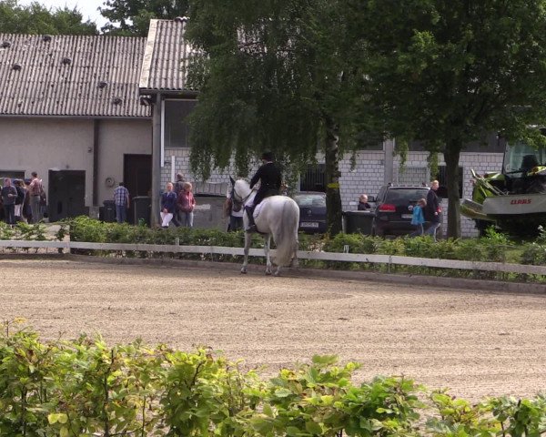 Reitturnier Olfen-Vinnum 2016