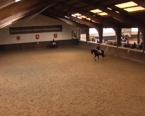 Reitturnier Olfen-Vinnum 2016