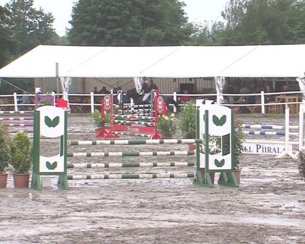 Reitturnier Tangstedt/Pinneberg 2016