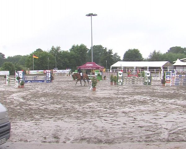 Reitturnier Tangstedt/Pinneberg 2016