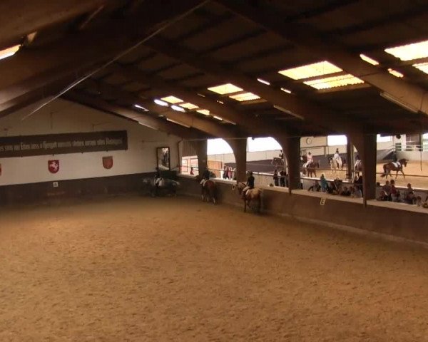 Reitturnier Olfen-Vinnum 2016