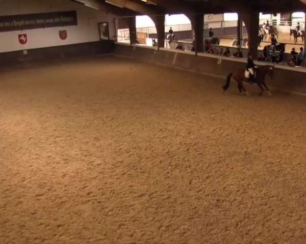 Reitturnier Olfen-Vinnum 2016