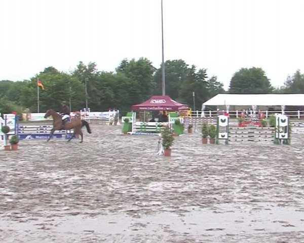 Reitturnier Tangstedt/Pinneberg 2016