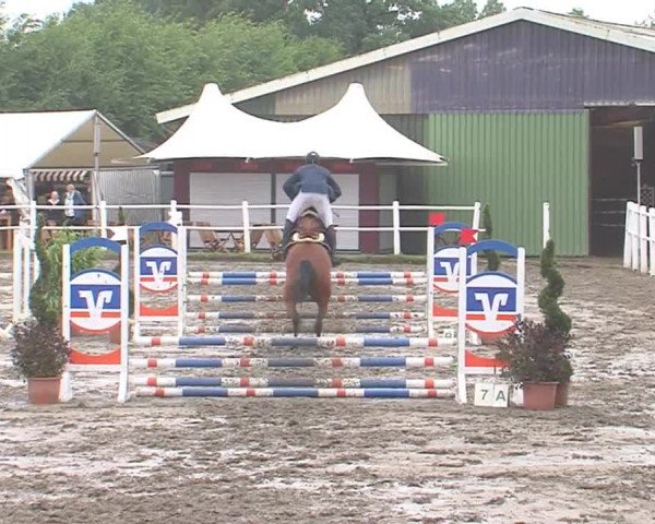 Reitturnier Tangstedt/Pinneberg 2016