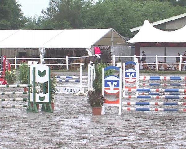 Reitturnier Tangstedt/Pinneberg 2016