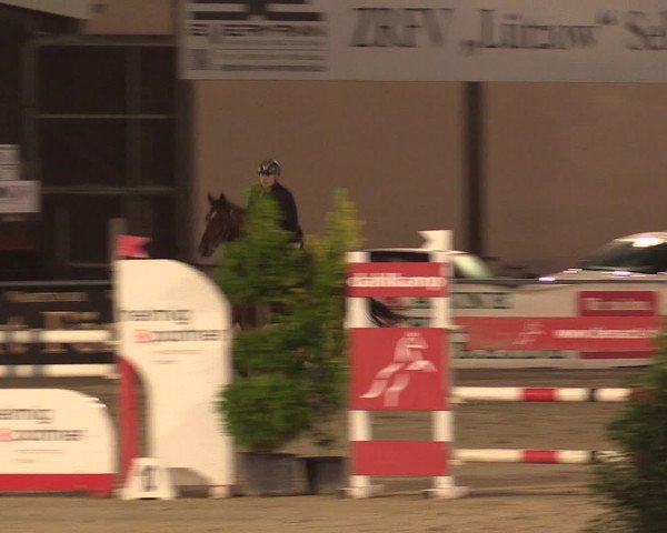 Reitturnier Olfen-Vinnum 2016