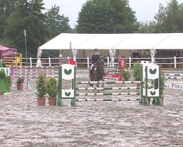Reitturnier Tangstedt/Pinneberg 2016