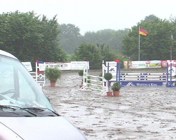 Reitturnier Tangstedt/Pinneberg 2016