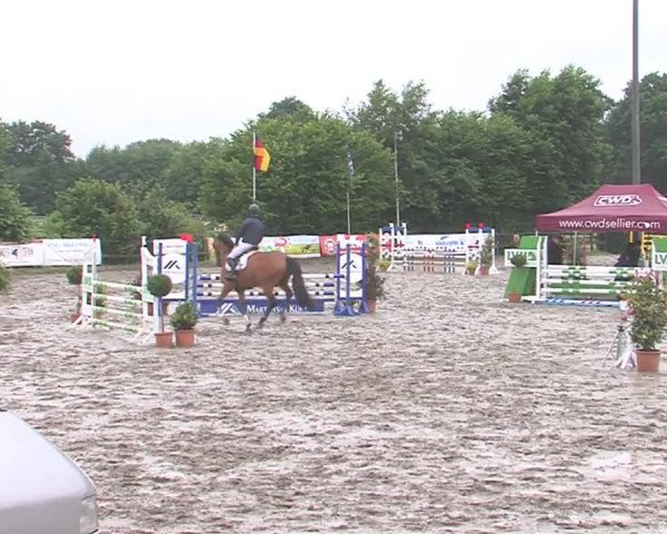 Reitturnier Tangstedt/Pinneberg 2016