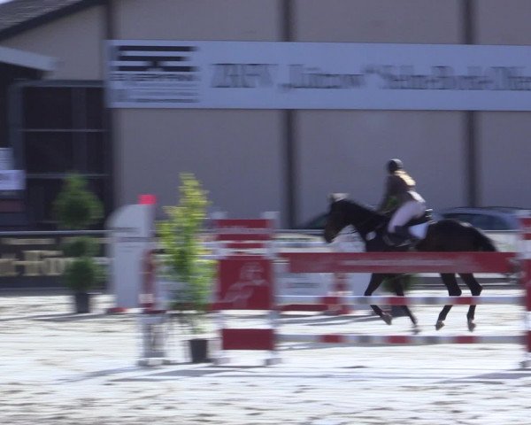 Reitturnier Olfen-Vinnum 2016