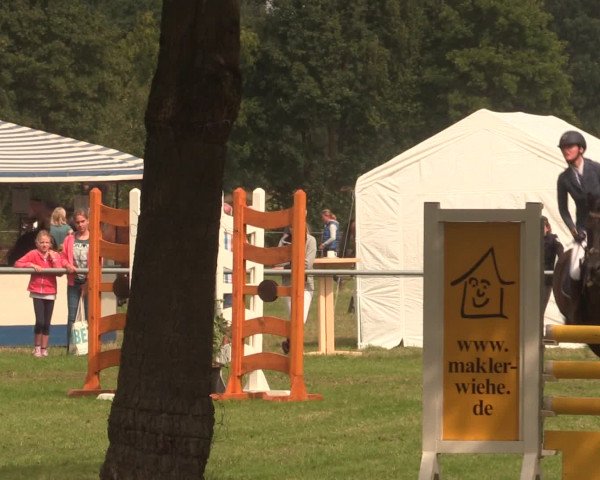 Reitturnier Petershagen-Eldagsen 2016