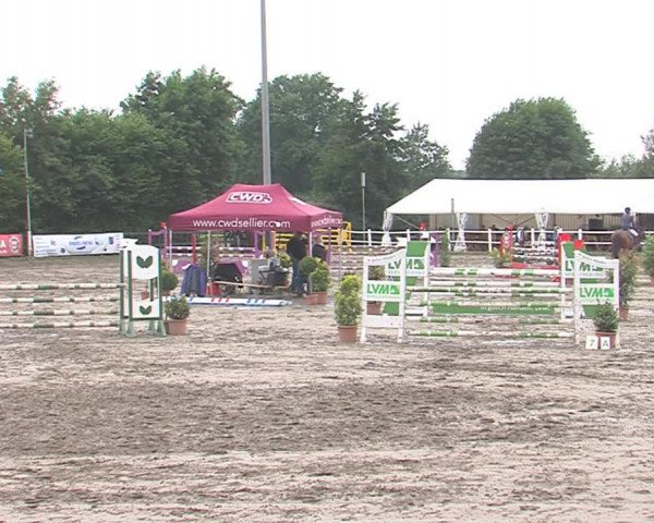 Reitturnier Tangstedt/Pinneberg 2016