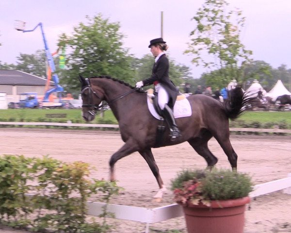 Reitturnier Olfen-Vinnum 2016