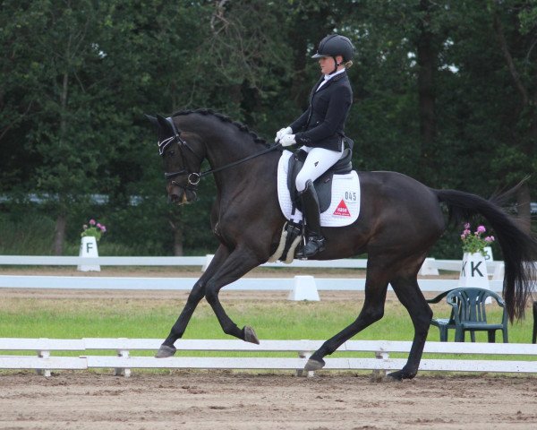 broodmare Ballsinfonie (Trakehner, 2014, from Donaufischer)