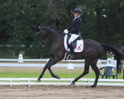 broodmare Ballsinfonie (Trakehner, 2014, from Donaufischer)