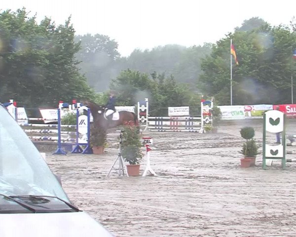 Reitturnier Tangstedt/Pinneberg 2016