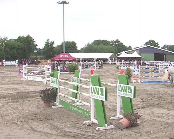 Reitturnier Tangstedt/Pinneberg 2016