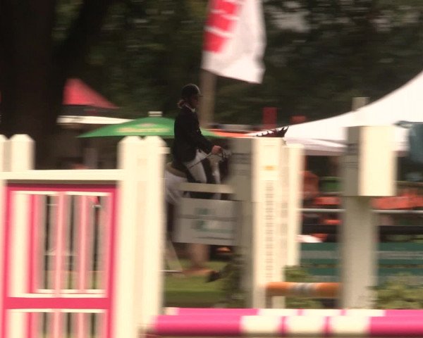 Reitturnier Petershagen-Eldagsen 2016