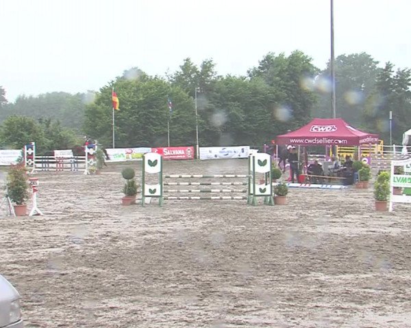 Reitturnier Tangstedt/Pinneberg 2016