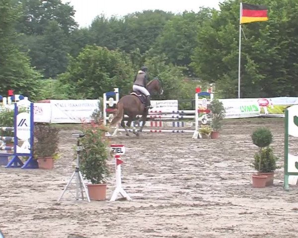 Reitturnier Tangstedt/Pinneberg 2016