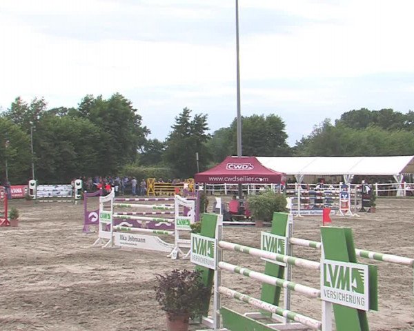 Reitturnier Tangstedt/Pinneberg 2016