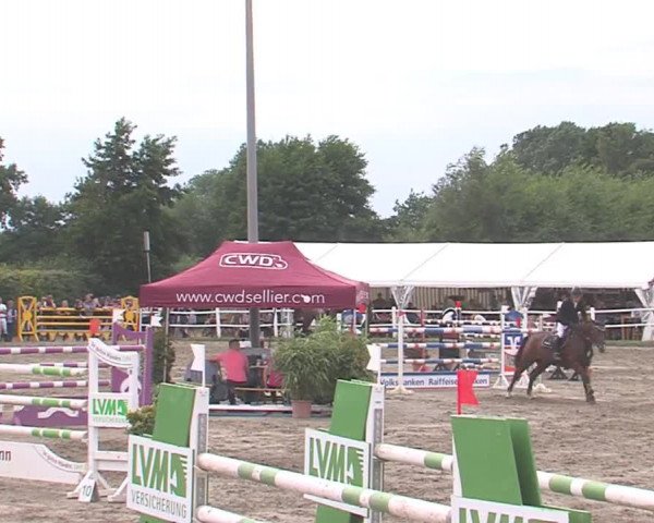Reitturnier Tangstedt/Pinneberg 2016