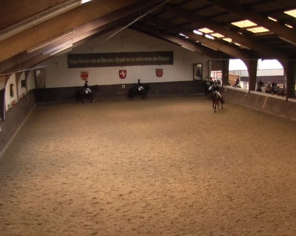 Reitturnier Olfen-Vinnum 2016