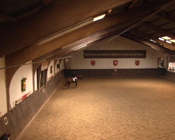 Reitturnier Olfen-Vinnum 2016