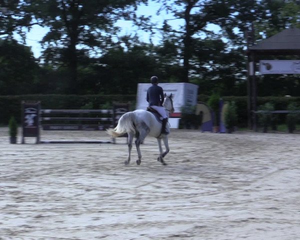 Reitturnier Olfen-Vinnum 2016