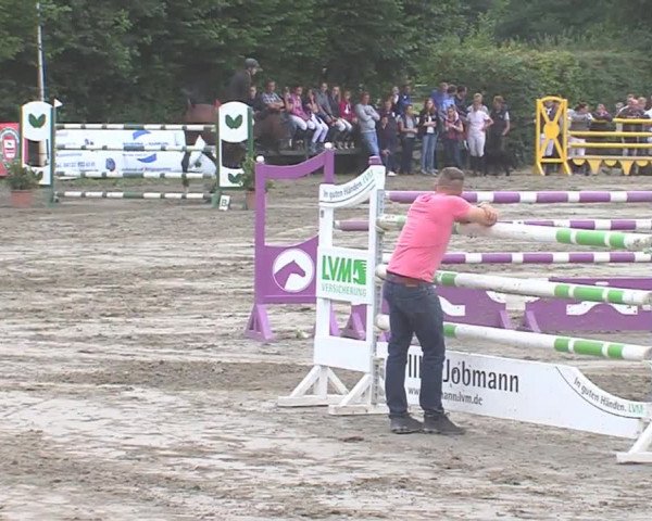Reitturnier Tangstedt/Pinneberg 2016
