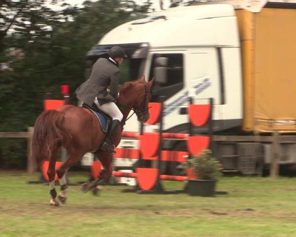 Reitturnier Petershagen-Eldagsen 2016