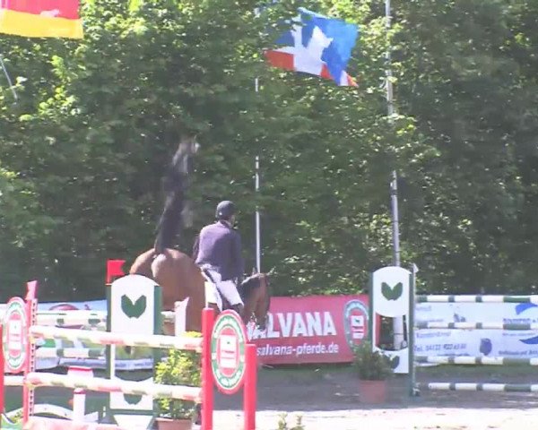 Reitturnier Tangstedt/Pinneberg 2016