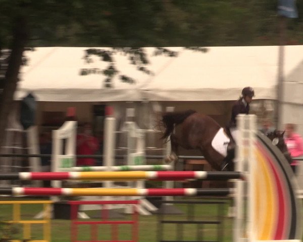 Reitturnier Petershagen-Eldagsen 2016