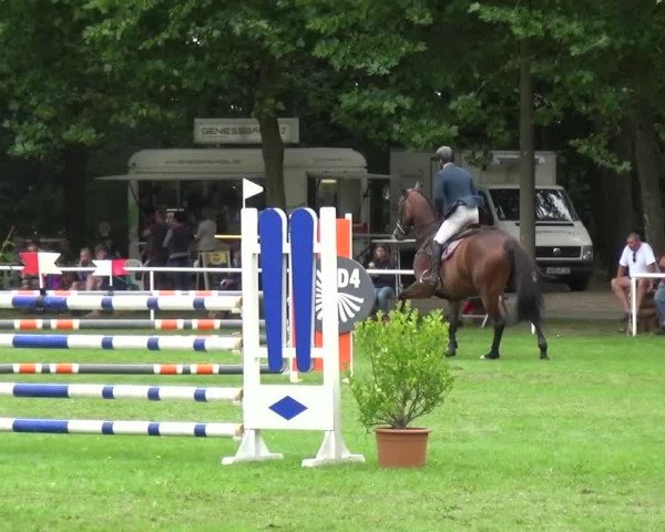 Reitturnier Zobbenitz 2016
