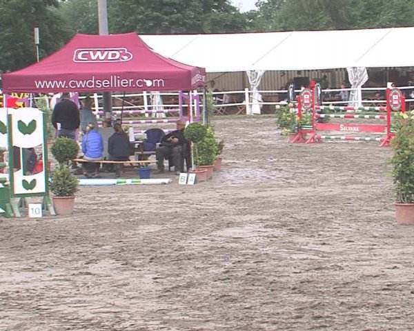 Reitturnier Tangstedt/Pinneberg 2016