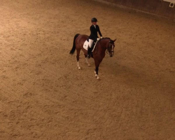 Reitturnier Olfen-Vinnum 2016
