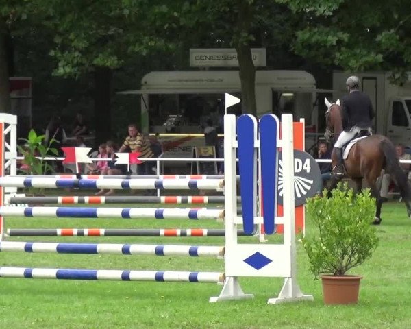 Reitturnier Zobbenitz 2016
