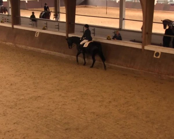 Reitturnier Olfen-Vinnum 2016